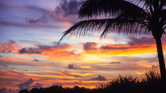 $45M mansion sale shows just how hot the Hawaii real estate market is