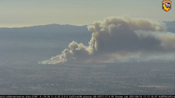 Crews gain upper hand on a 40-acre Sonoma County vegetation fire
