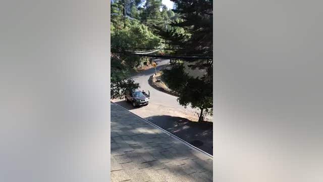 Driver arrested after seen on video deliberately hitting man with car in Oakland, police say