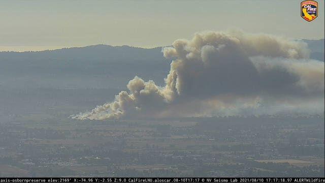 Crews gain upper hand on a 40-acre Sonoma County vegetation fire