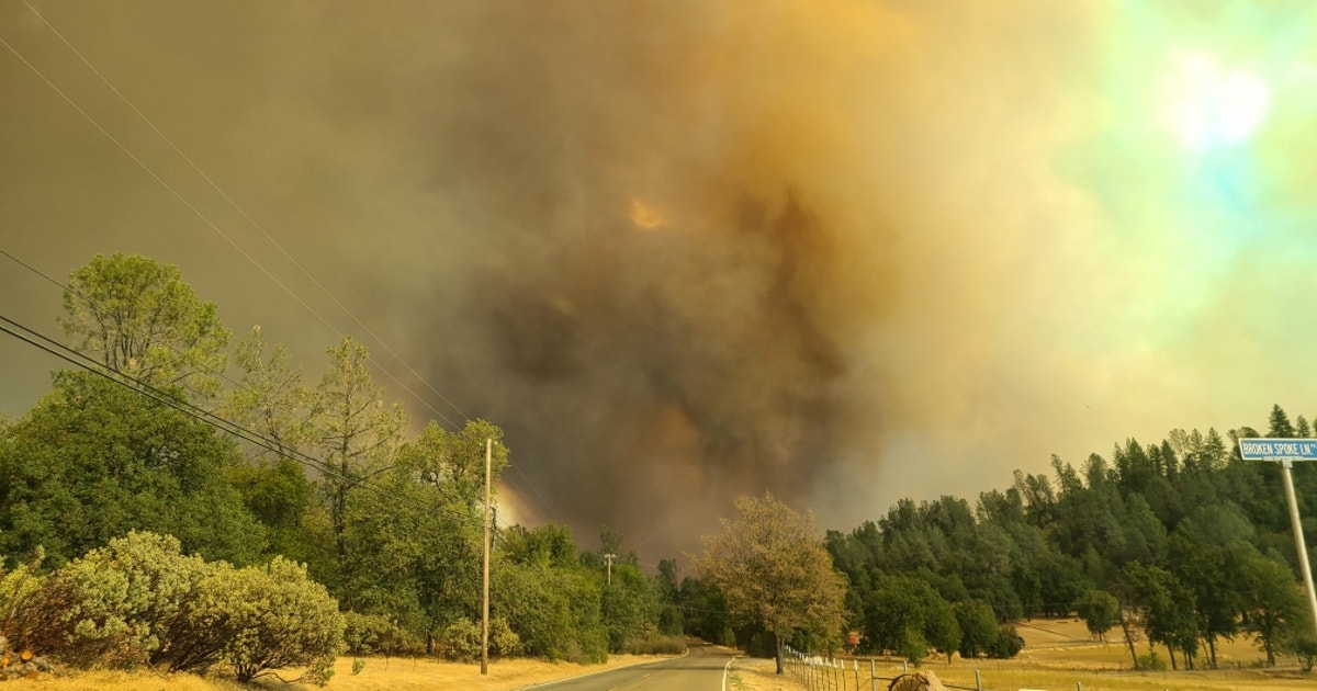 Palo Alto woman charged with starting Fawn Fire in Northern California ...