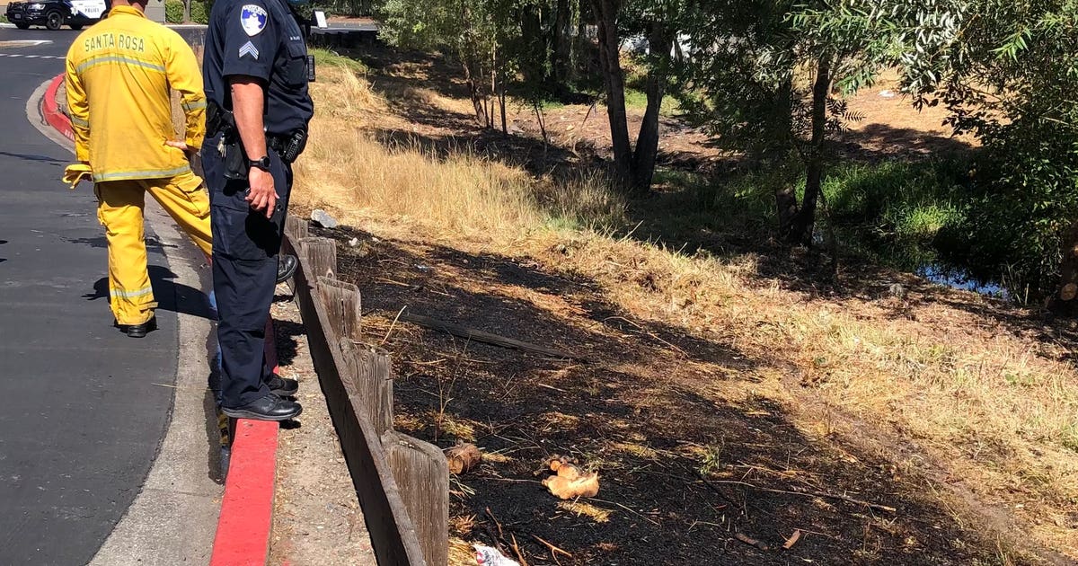 Santa Rosa arson suspect arrested after allegedly setting field ablaze ...