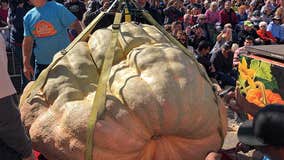 Half Moon Bay Pumpkin Festival cancelled for second consecutive year