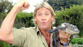 Remembering ‘Crocodile Hunter’ Steve Irwin 15 years after death