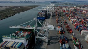 Bay Area businesses hit hard by broken supply chain and port disarray