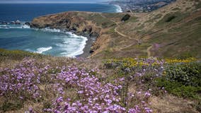 Woman dies after fall from hiking trail bluff in Pacifica