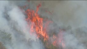 Bridge Fire's forward progress stopped, Cal Fire says