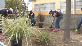 Olympic gold medalist Kristi Yamaguchi hosts 'Day of Service' in San Pablo