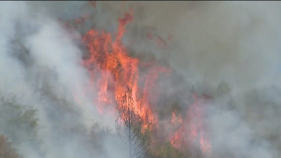 Bridge Fire's forward progress stopped, Cal Fire says