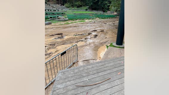 Repairs to clean up Stern Grove could cost millions