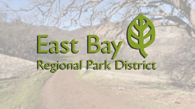 Suspected arsonist arrested after starting grass fire at Wildcat Canyon Regional Park in Richmond