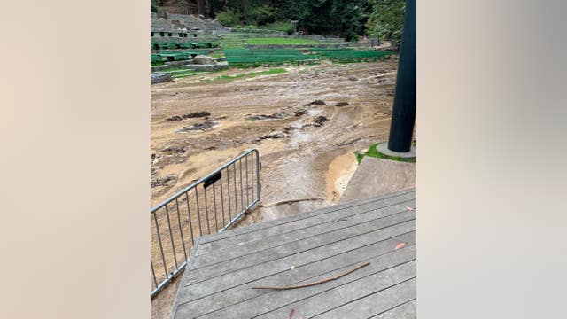 Repairs to clean up Stern Grove could cost millions