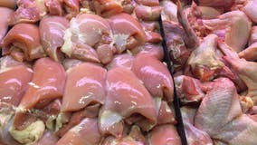 Salmonella in poultry: USDA announces steps to help reduce illnesses