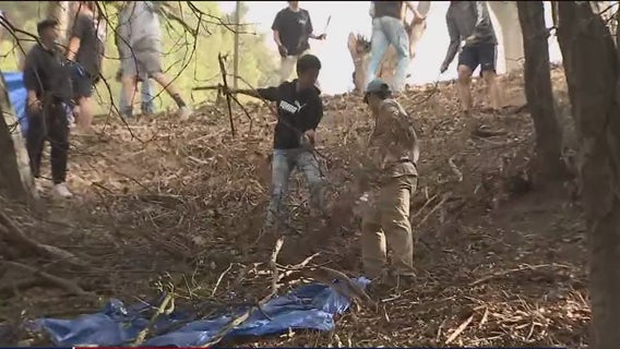 UC Berkeley students help clean eucalyptus tree debris