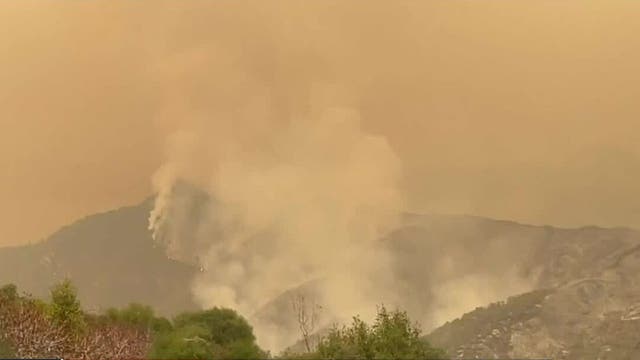 Falling tree injures 4 firefighters battling KNP Complex Fire