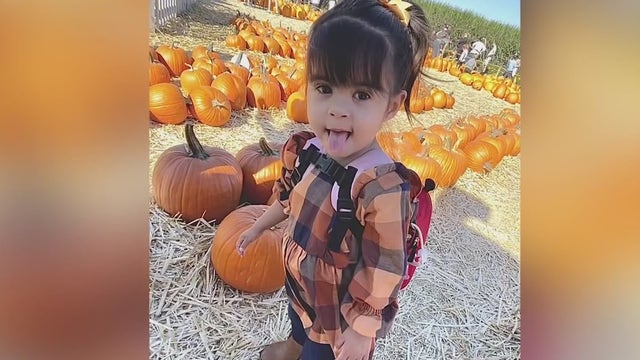 South Bay family prays for kidney donation to save 2-year-old