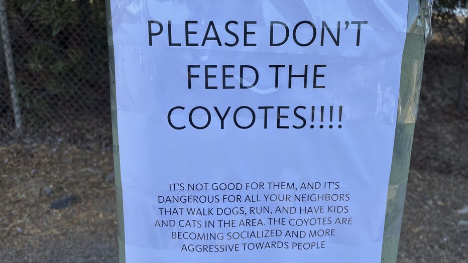 Coyotes roaming PHX community worries residents