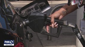 Fighting gas prices, US to release 50 million barrels of oil