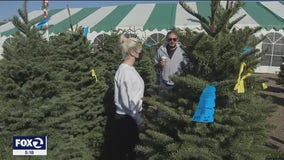 58-year tradition: Family-owned tree farm is more than business