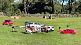 Small plane makes unscheduled landing in Woodside horse park