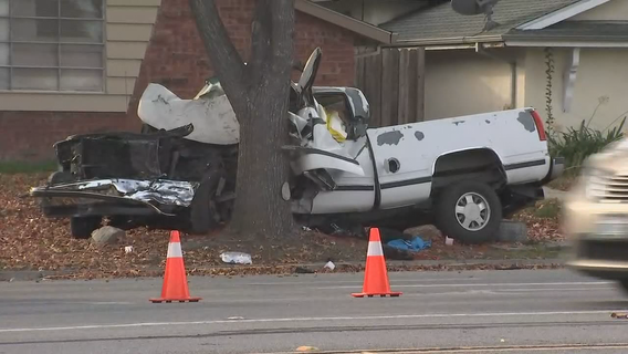 Driver dies after slamming into tree in San Jose