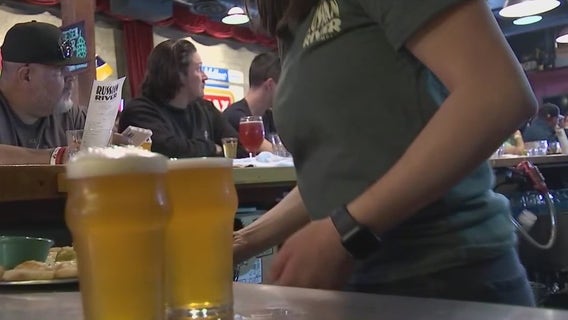 Pliny the Younger will be sold in-person