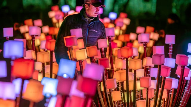 Colorful, interactive 'enchanted forest' to return to Golden Gate Park this week