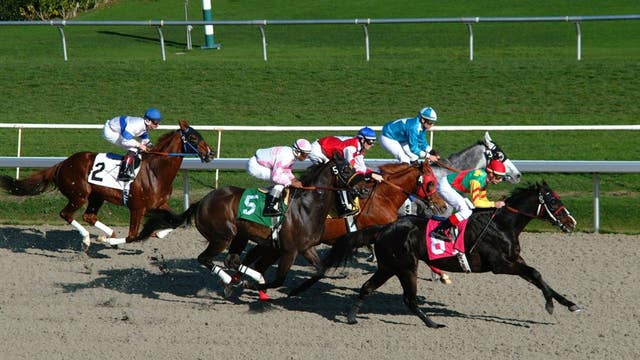 Activists plan demonstration over horse deaths at Golden Gate Fields