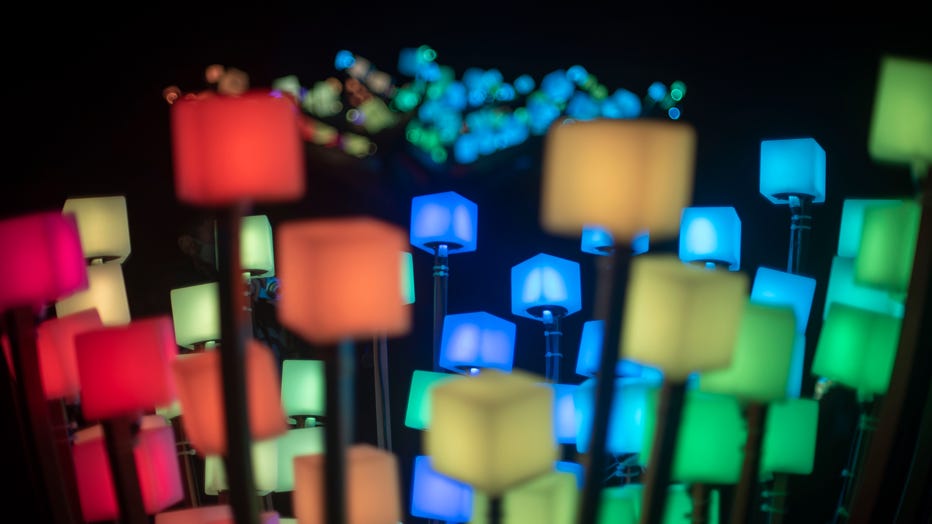 Colorful, interactive 'enchanted forest' to return to Golden Gate Park this  week