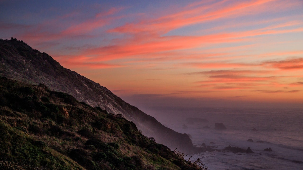 California's Lost Coast redwoods could be saved from logging - Vimarsana News