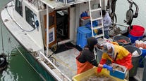 You can now buy fresh crab off the boat in San Francisco as part of new program