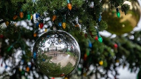 SF residents encouraged to recycle Christmas trees for annual tree-chipping tradition