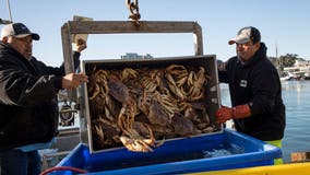 Long-delayed Dungeness crab season to open December 29