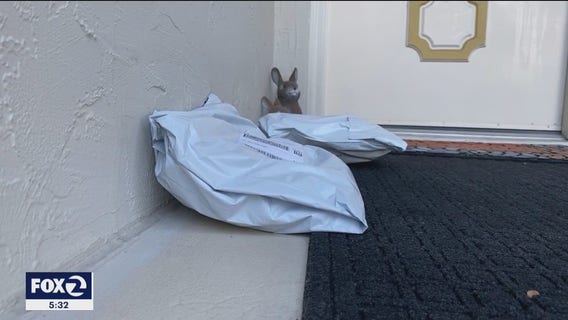 Police in Sunnyvale are on present patrol to prevent porch pirates