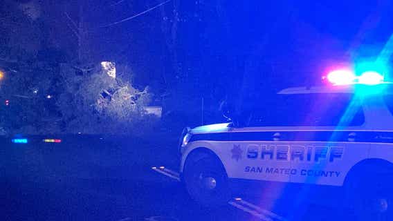 Large tree falls on Woodside Road, closing route in both directions