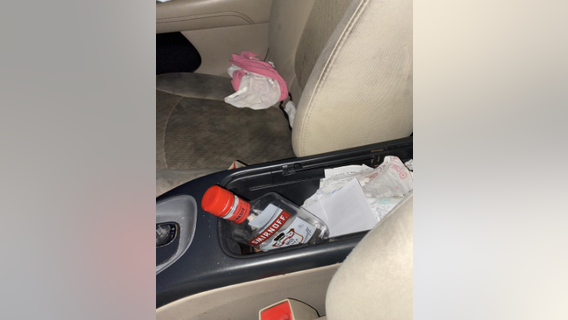 Authorities seek mom who allegedly escaped Santa Rosa police, left toddler in car, cold and crying