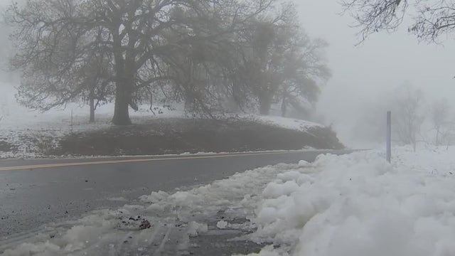 Families rush to Bay Area mountaintops to see snow