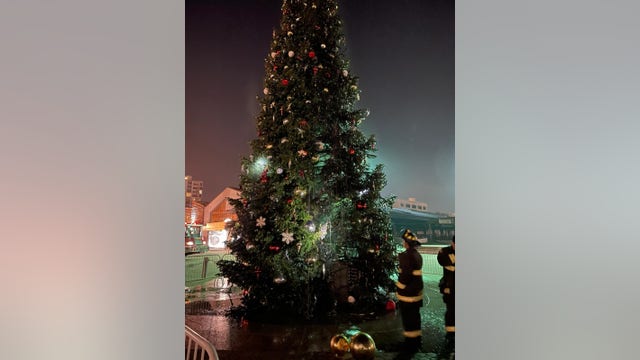 Oakland's Jack London Square Christmas tree torched