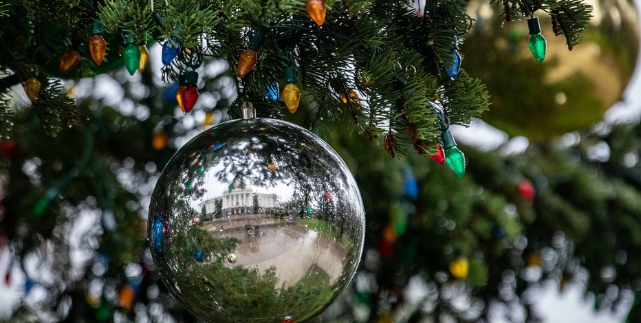 San francisco christmas tree pickup 2022