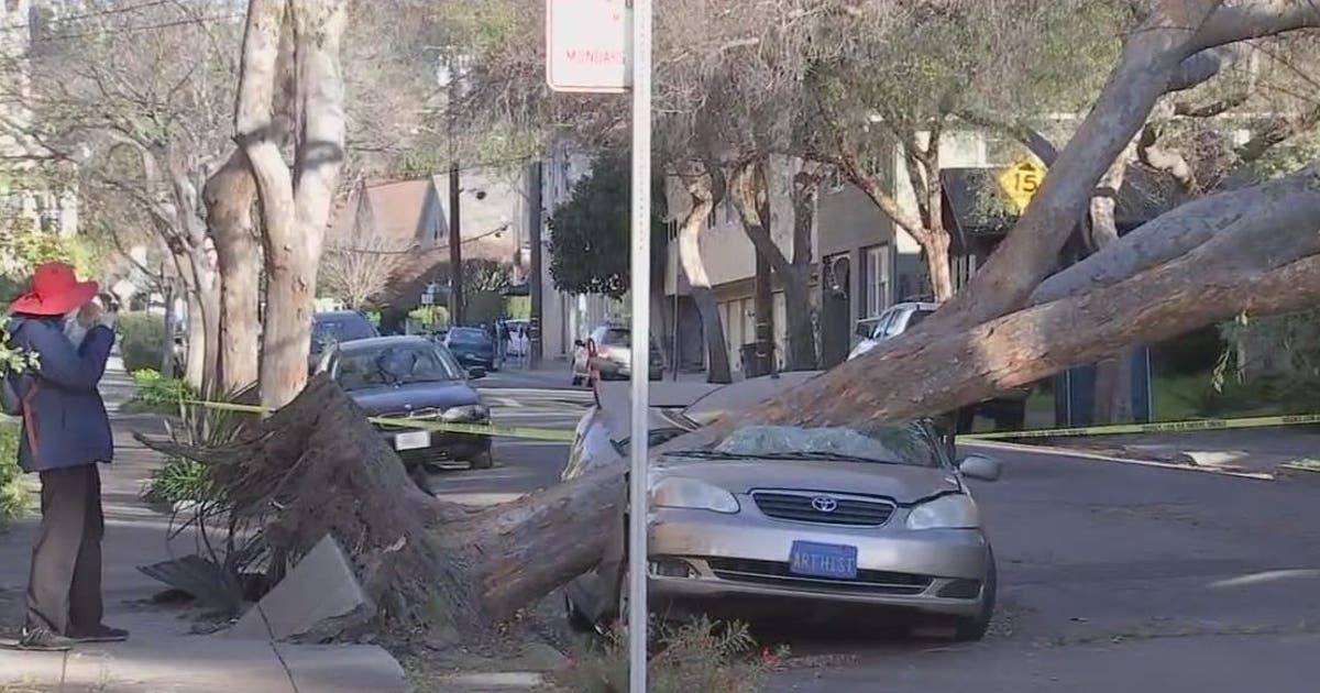 Powerful winds inflict damage in Bay Area | KTVU FOX 2