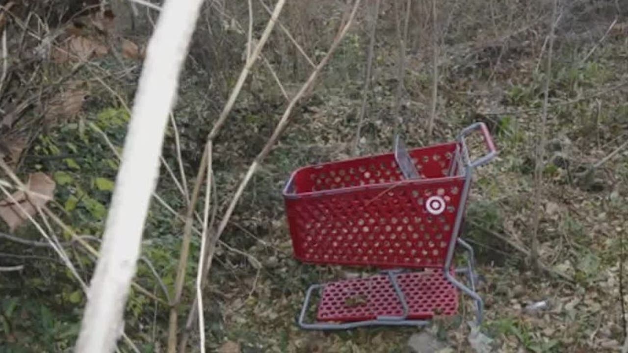 Cart Killer' may have murdered Northern California woman KTVU FOX 2