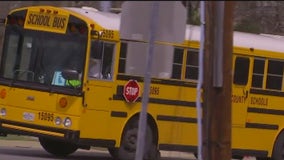 California lawmaker pushes for free school buses for public students