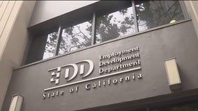 24-year-old California EDD contract worker helped 10 steal $2.7M: feds