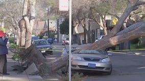 Powerful winds inflict damage in Bay Area