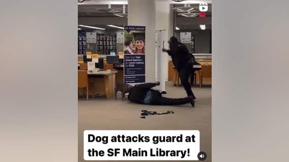 Dog seen on video attacking security guard at San Francisco's Main Library