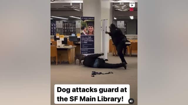 Dog seen on video attacking security guard at San Francisco's Main Library