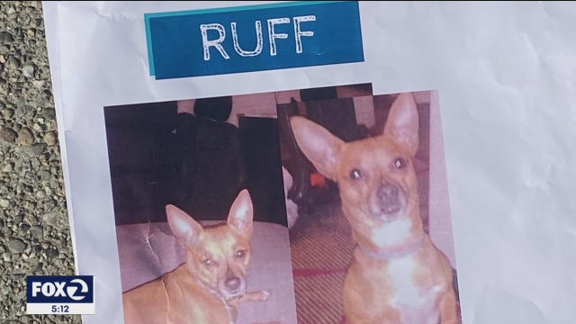 Support dog stolen on day homeless man moves into new place in Oakland