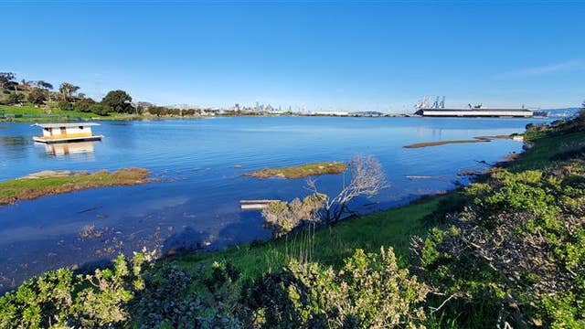 Help fight climate change through the King Tides Project