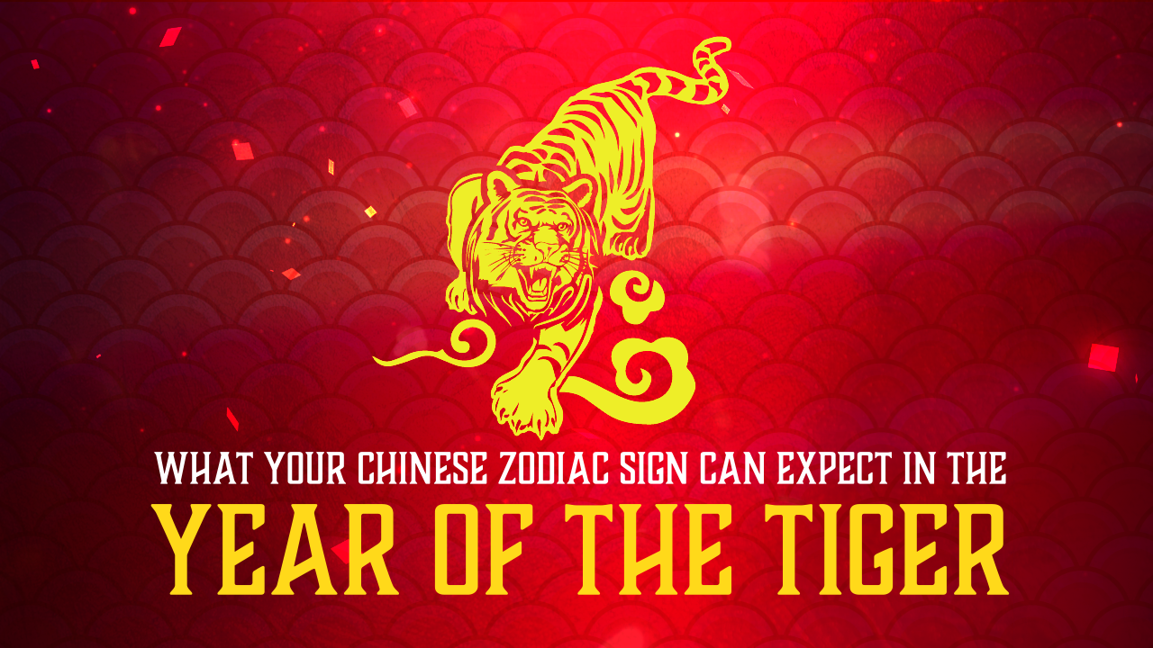 What each Chinese zodiac sign can expect in the year of the tiger What each Chinese zodiac sign can expect in the year of the tiger
