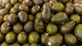 US suspends avocado imports from Mexico